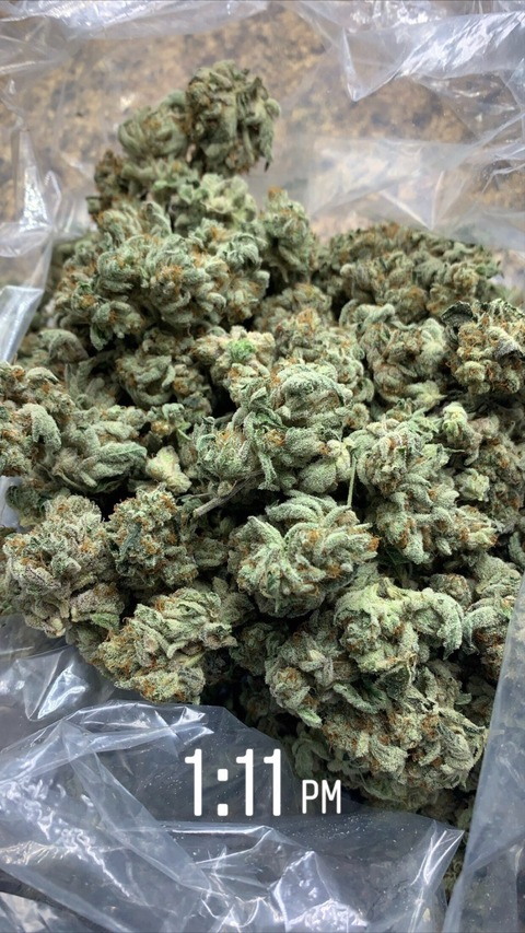 iiluvmylife OnlyFans - Free Access to 32 Videos & 49 Photos Onlyfans Free Access