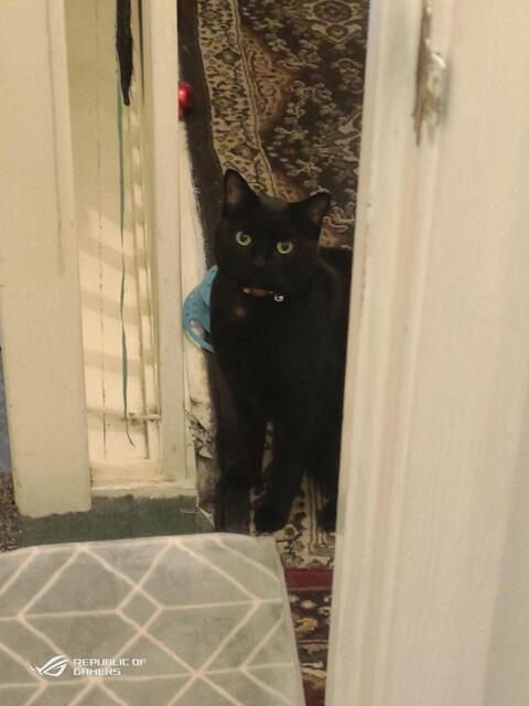 ilovetallgirls1 OnlyFans - Free Access to 32 Videos & 49 Photos Onlyfans Free Access