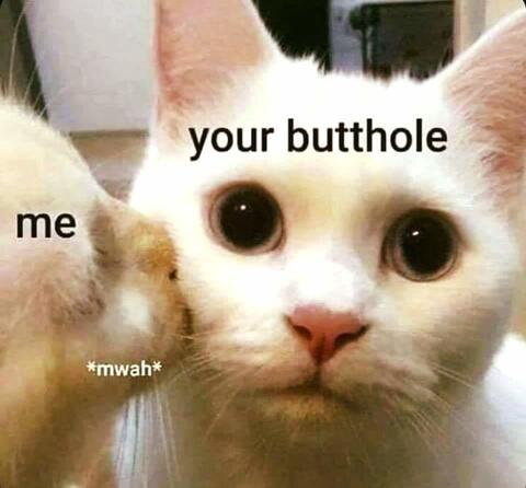 im.not.your.daddy OnlyFans - Free Access to 32 Videos & 88 Photos Onlyfans Free Access