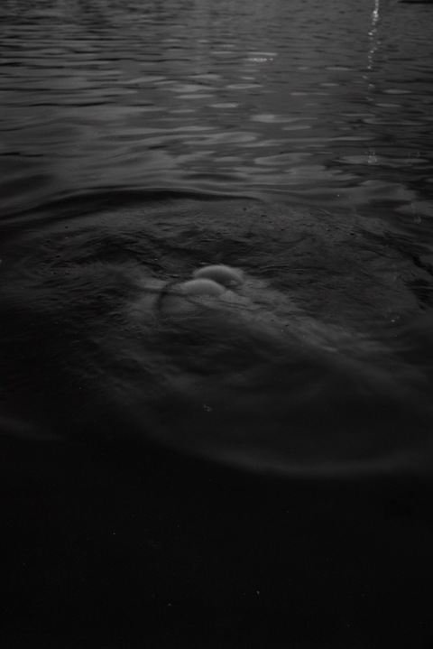 inkedbarbiexo OnlyFans - Free Access to 32 Videos & 49 Photos Onlyfans Free Access