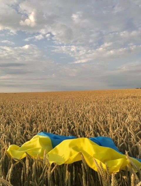 inna001 OnlyFans - Free Access to 32 Videos & 49 Photos Onlyfans Free Access