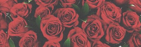 ironicpoetxx OnlyFans - Free Access to 32 Videos & 147 Photos Onlyfans Free Access