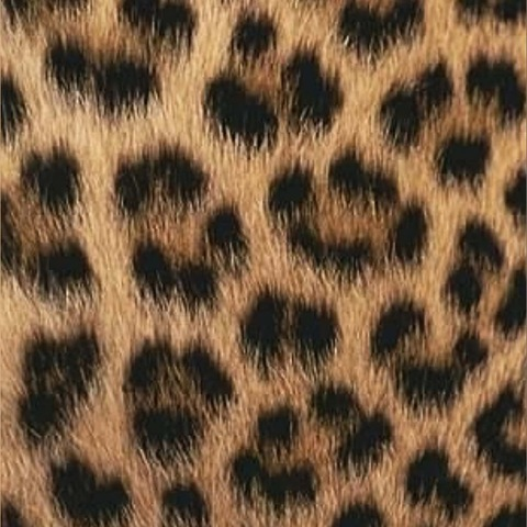 isabelhind OnlyFans - Free Access to 32 Videos & 49 Photos Onlyfans Free Access