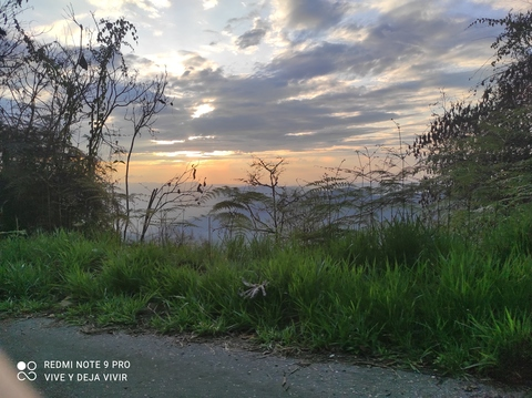 isabellarouse OnlyFans - Free Access to 32 Videos & 49 Photos Onlyfans Free Access