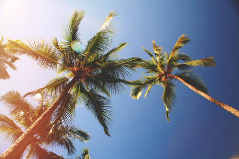 isaisilva OnlyFans - Free Access to 32 Videos & 49 Photos Onlyfans Free Access