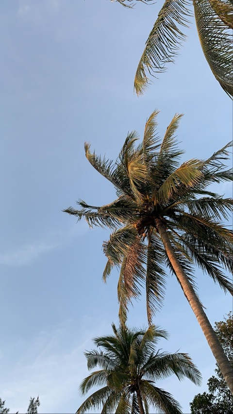 Onlyfans leaks islandshae23 - FanforLeaks