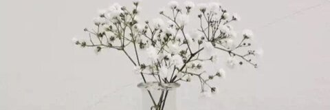 ismee OnlyFans - Free Access to 32 Videos & 49 Photos Onlyfans Free Access