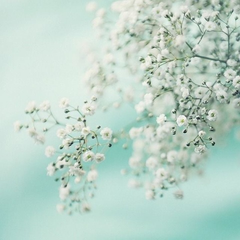 itsgjean OnlyFans - Free Access to 32 Videos & 49 Photos Onlyfans Free Access