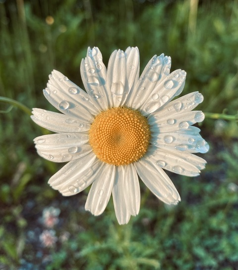 itsmegswbu OnlyFans - Free Access to 32 Videos & 49 Photos Onlyfans Free Access