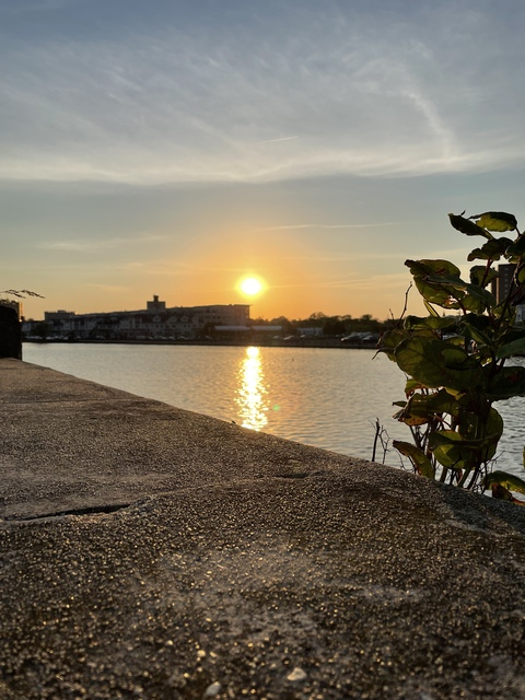 ivypamelaquinn OnlyFans - Free Access to 32 Videos & 49 Photos Onlyfans Free Access