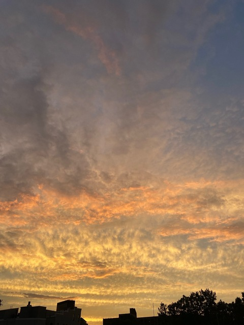 jadarayxxx OnlyFans - Free Access to 32 Videos & 49 Photos Onlyfans Free Access