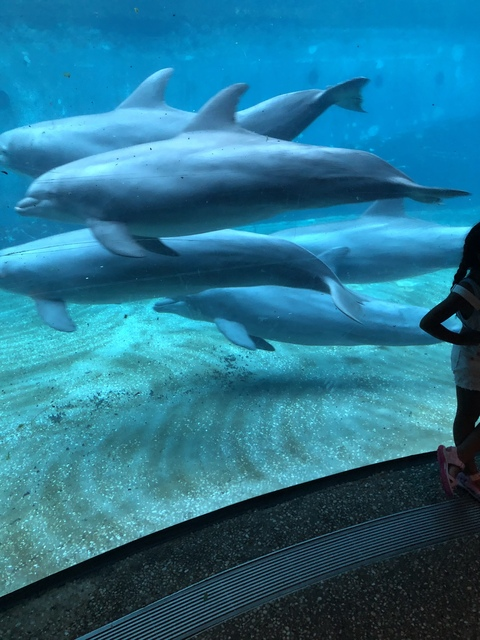 jairohernandez OnlyFans - Free Access to 32 Videos & 49 Photos Onlyfans Free Access