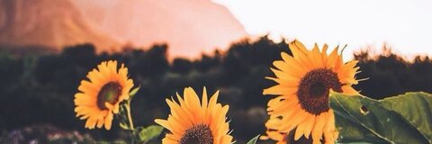 jamieloves OnlyFans - Free Access to 33 Videos & 322 Photos Onlyfans Free Access