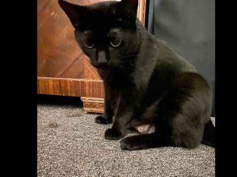 jaydeuwuu OnlyFans - Free Access to 32 Videos & 78 Photos Onlyfans Free Access