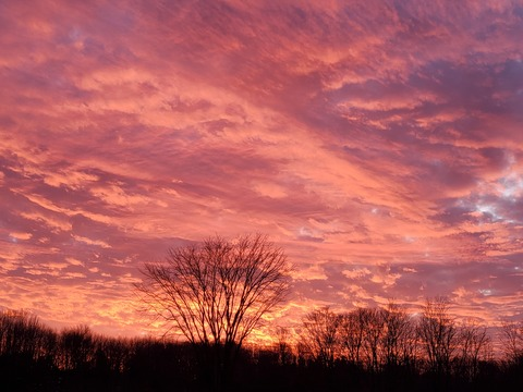 jayemmie OnlyFans - Free Access to 32 Videos & 49 Photos Onlyfans Free Access