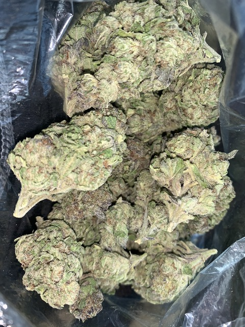 jaygalliano OnlyFans - Free Access to 77 Videos & 153 Photos Onlyfans Free Access