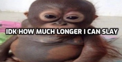 jayynearlo OnlyFans - Free Access to 32 Videos & 49 Photos Onlyfans Free Access