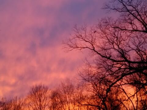 jazzy_savage OnlyFans - Free Access to 32 Videos & 49 Photos Onlyfans Free Access