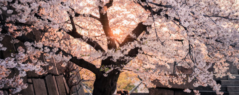 jcostly OnlyFans - Free Access to 32 Videos & 49 Photos Onlyfans Free Access