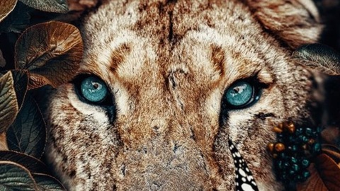 jenkaffax OnlyFans - Free Access to 32 Videos & 49 Photos Onlyfans Free Access