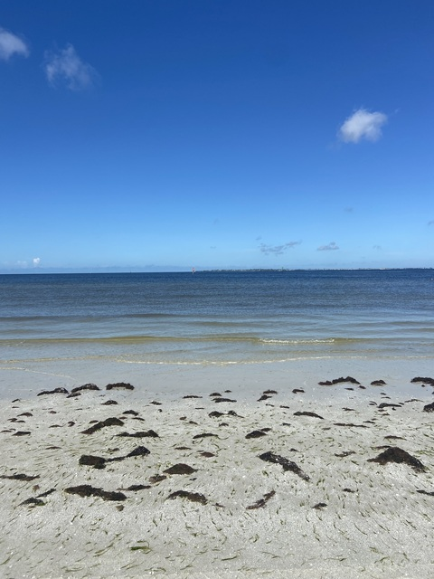 jennayyyyy OnlyFans - Free Access to 32 Videos & 49 Photos Onlyfans Free Access