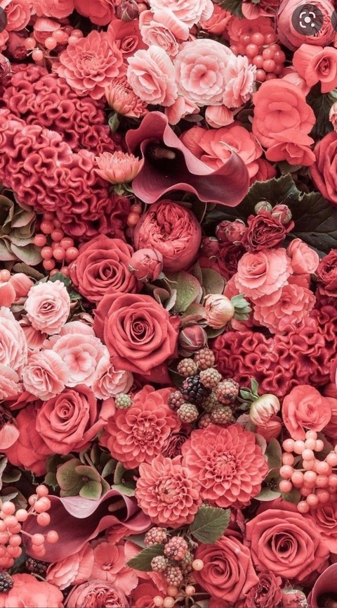 jessi.rocknroll OnlyFans - Free Access to 32 Videos & 49 Photos Onlyfans Free Access