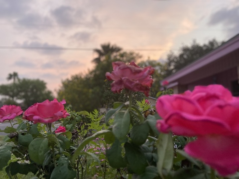 jesssyh OnlyFans - Free Access to 32 Videos & 49 Photos Onlyfans Free Access