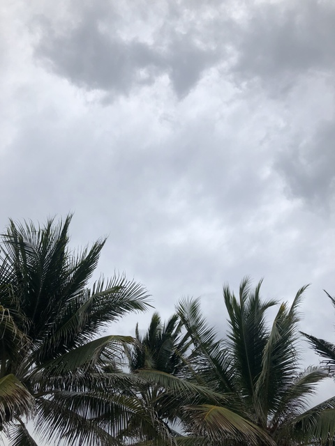 jnewhouse23 OnlyFans - Free Access to 32 Videos & 49 Photos Onlyfans Free Access