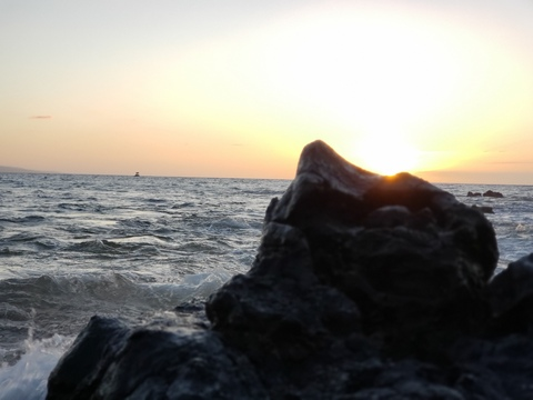 joethedom OnlyFans - Free Access to 32 Videos & 49 Photos Onlyfans Free Access