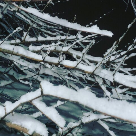 joser9101 OnlyFans - Free Access to 32 Videos & 49 Photos Onlyfans Free Access