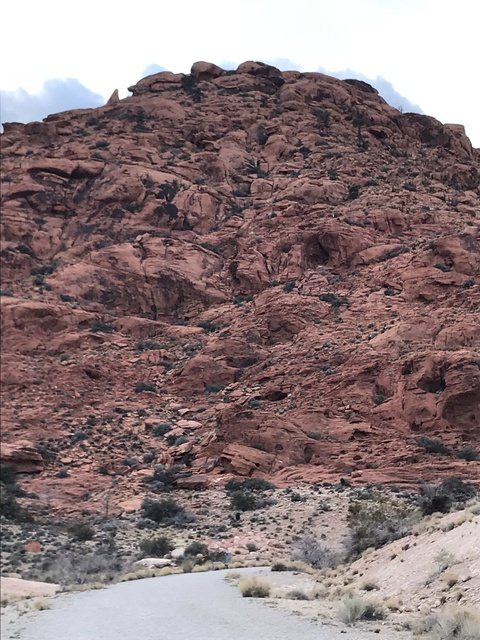 joshswingshard318 OnlyFans - Free Access to 32 Videos & 49 Photos Onlyfans Free Access