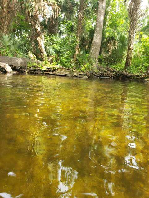 jpacfl OnlyFans - Free Access to 32 Videos & 49 Photos Onlyfans Free Access