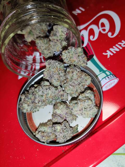 jplagann OnlyFans - Free Access to 32 Videos & 49 Photos Onlyfans Free Access