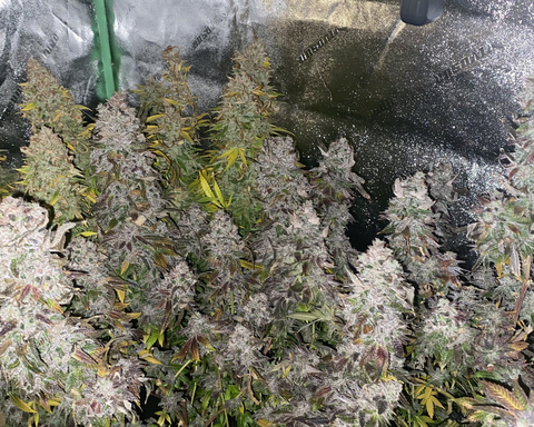 jrabbitt_013 OnlyFans - Free Access to 65 Videos & 155 Photos Onlyfans Free Access