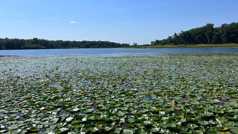 juanversusall OnlyFans - Free Access to 32 Videos & 353 Photos Onlyfans Free Access