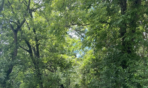 juicypandapaws OnlyFans - Free Access to 55 Videos & 85 Photos Onlyfans Free Access