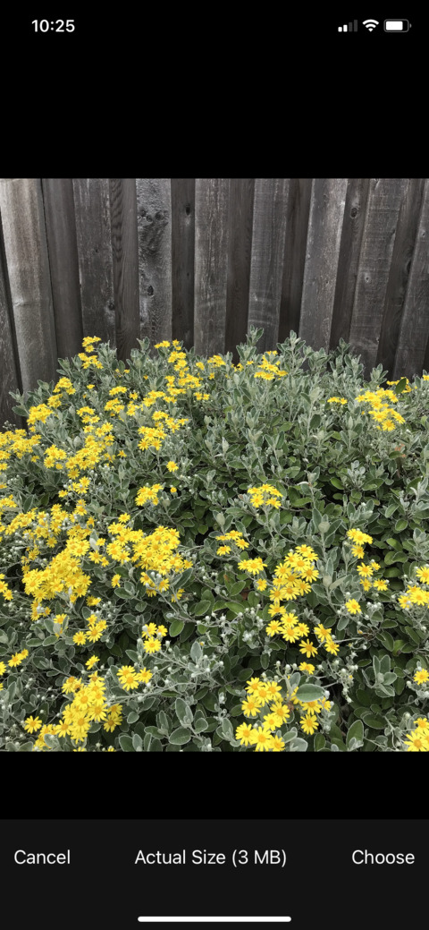 juliawilder OnlyFans - Free Access to 32 Videos & 49 Photos Onlyfans Free Access