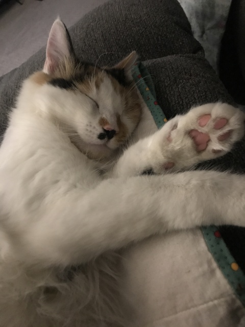 justinatime4u OnlyFans - Free Access to 32 Videos & 49 Photos Onlyfans Free Access