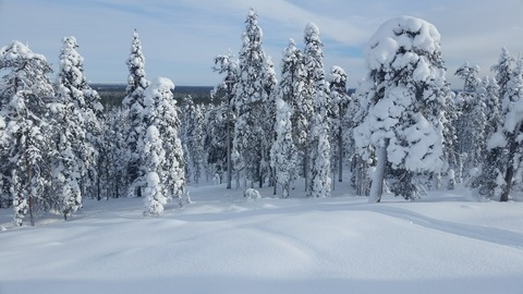 justincase0 OnlyFans - Free Access to 32 Videos & 49 Photos Onlyfans Free Access