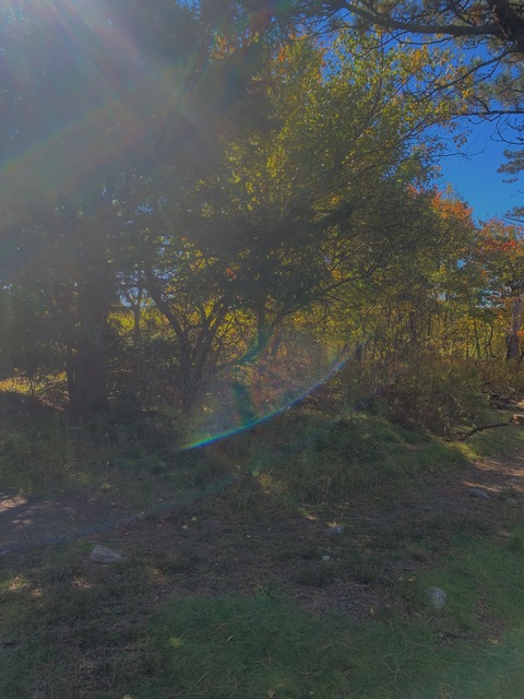 justsiennaparker OnlyFans - Free Access to 32 Videos & 49 Photos Onlyfans Free Access