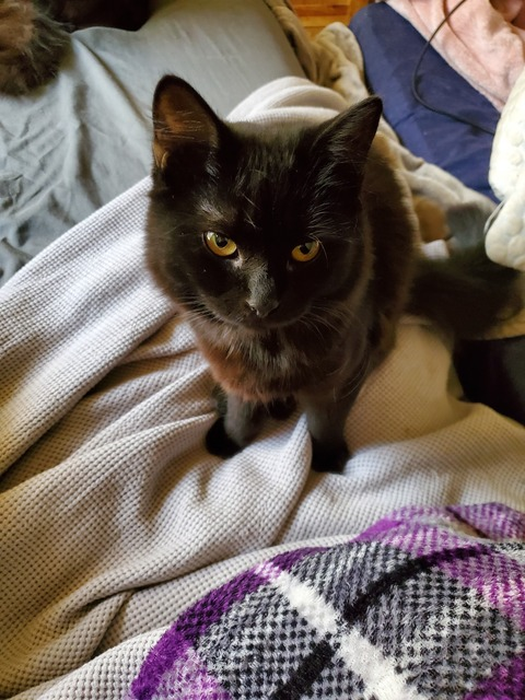 k0225e OnlyFans - Free Access to 35 Videos & 59 Photos Onlyfans Free Access