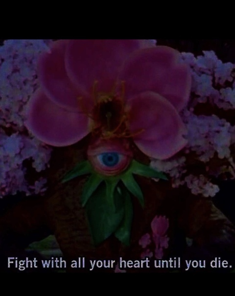 kaebae61 OnlyFans - Free Access to 32 Videos & 49 Photos Onlyfans Free Access