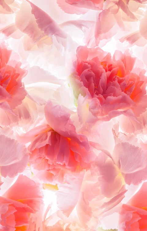 karleysfeet OnlyFans - Free Access to 32 Videos & 49 Photos Onlyfans Free Access