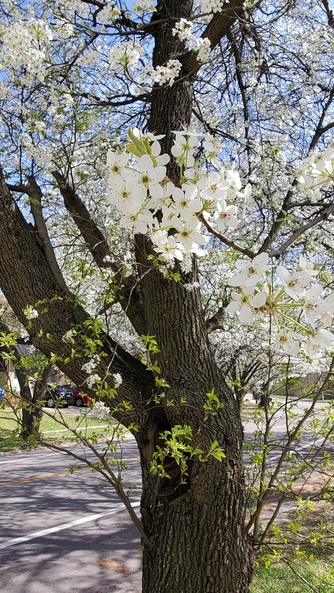 kashaunargrett OnlyFans - Free Access to 32 Videos & 49 Photos Onlyfans Free Access