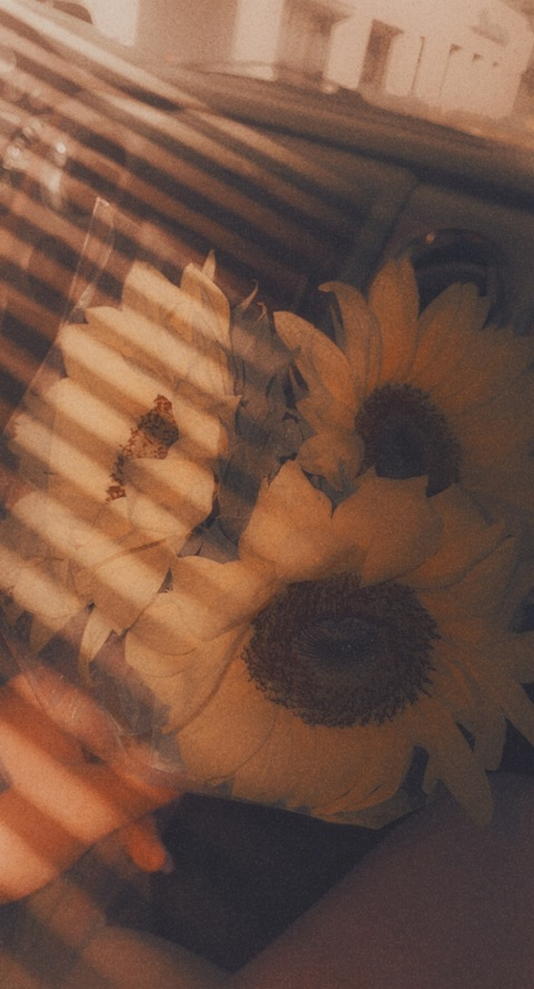 kate_1229 OnlyFans - Free Access to 32 Videos & 49 Photos Onlyfans Free Access