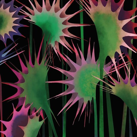 katepoltaras OnlyFans - Free Access to 32 Videos & 71 Photos Onlyfans Free Access