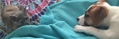 kathiieee OnlyFans - Free Access to 32 Videos & 49 Photos Onlyfans Free Access