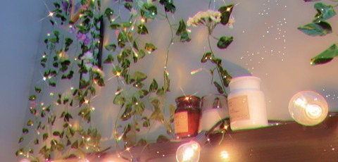 kaylanifox OnlyFans - Free Access to 32 Videos & 49 Photos Onlyfans Free Access