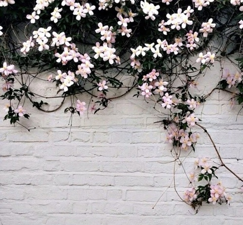 kayleefaylee OnlyFans - Free Access to 55 Videos & 1130 Photos Onlyfans Free Access