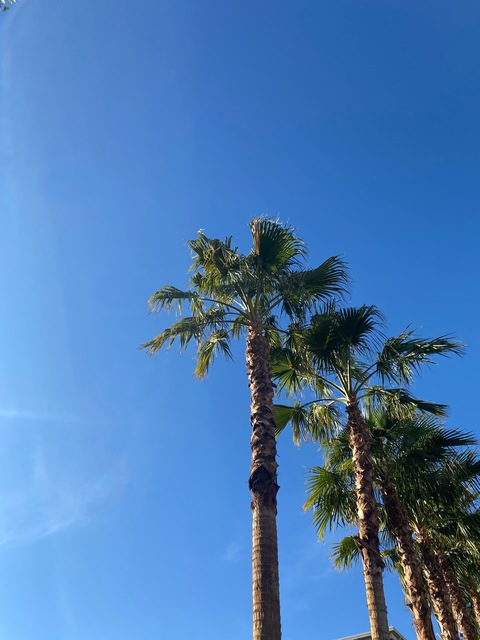 kellisloane OnlyFans - Free Access to 32 Videos & 49 Photos Onlyfans Free Access